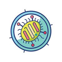 Genetic Transfer in Bacteria Using Plasmid DNA Mechanism vector