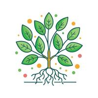 Studying Beneficial Bacteria Influence on Plant Roots vector