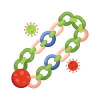 Studying Coccus Bacteria Chain Structures vector