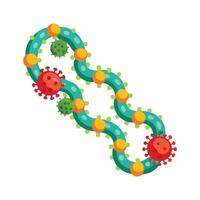 Coccus Bacteria Forming Chains in Culture vector