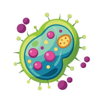 Studying Dividing Diplococcus Bacteria Process vector