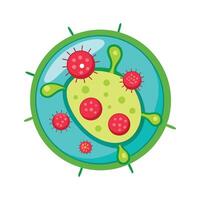 Observing Diplococcus Bacteria in Division Stage vector