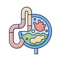 Understanding Gut Bacteria in Digestion vector