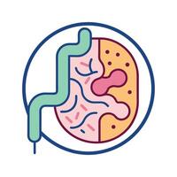 Overview of Gut Bacteria in Human Digestion vector