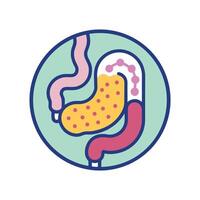 Gut Bacterias Role in Digestion Process vector