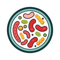 Analyzing Lactobacillus Bacteria in Food Fermentation vector