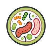 Studying Lactobacillus Bacteria in Fermentation vector