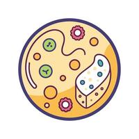 Overview of Microbial Fermentation in Cheese vector