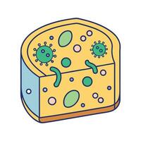 Understanding Microbial Fermentation in Cheese vector