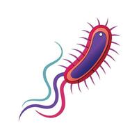 Overview of Motile Flagella in Bacterial Species vector