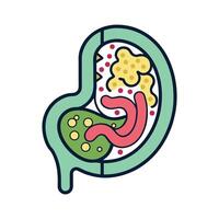 Examining Probiotic Bacteria and Digestive Processes vector