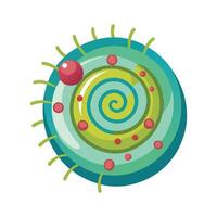 Overview of SpiralShaped Spirochete Bacteria vector