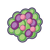 Staphylococcus Bacteria in GrapeLike Clusters vector