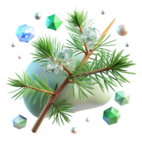 serene creative Pine Branch Needles Green Texture Isolated Nature png