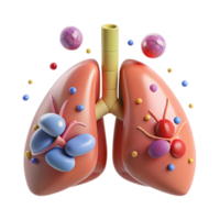 impressive rustic Respiratory System Diagram Lungs Transparent for Medical Illustrations high resolution png