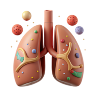 impressive minimalist Respiratory System Front View Diagram Transparent for Pulmonary Studies genuine png