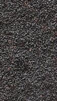 Black Seed Rotating in Background, Vertical Circular Motion of Nigella Seeds video