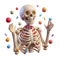 serene modern Skeleton Human Anatomy Bones Isolated for Medical Textbooks detailed png