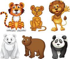 Cute Funny Animals Set vector