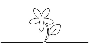 Abstract flower in continuous line art drawing abstract simple vector