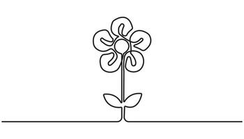 Spring crocus flower in continuous line art drawing style. Minimalist black linear sketch isolated on white background. vector