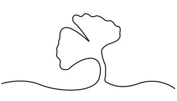 Ginkgo Leaf Continuous Line Drawing with Editable Stroke vector