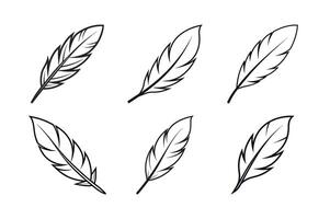 Feather Element for Branding and Web vector
