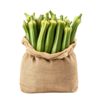 okra in a Burlap Sack Filled with Fresh Zucchini png