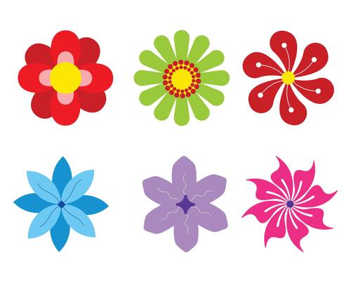 Colorful flowers collection. Fresh and blooming elements. Growing concept. Flat design. White background Isolated.