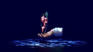 3d hands holding colon with heart, cross, check mark isolated on black background. check colon health, experiment, colon cancer treatment in the future concept, 3d illustration render video