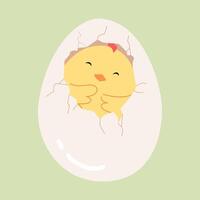Chick hatch from egg. Cute easter character bird birth. Cracked egg with cute baby chicken inside peeking out of the egg. Broken eggshell with hatched newborn chicken. Flat illustration. vector