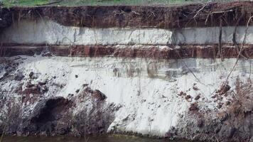 Geological soil profile with visible layers and plant roots video