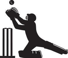 Cricket wicket keeper catching ball silhouette icon on white background vector