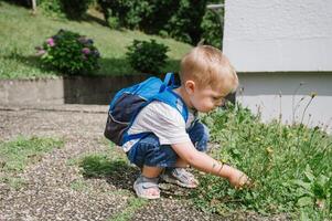 Adorable child sitting with backpack on ground and playing with plants photo