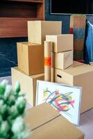 Stacked moving boxes and plant photo