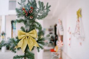 Coniferous branch decorated with a bow on a pole in a building photo