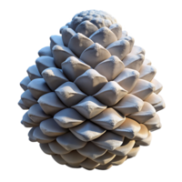 extraordinary minimalist A snow-covered pine cone, close-up, crisp winter light detailed png