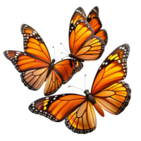 vibrant traditional A group of Monarch butterflies migrating, sunlit wings, vibrant colors, nature documentary style authentic png