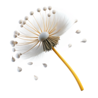 wonderful creative A single dandelion seedhead in the process of dispersing its seeds, windblown effect, delicate and airy style detailed png