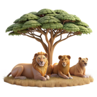 magnificent artistic A pride of lions resting under the shade of an acacia tree on the African savanna, bathed in warm afternoon light, in a photorealistic style exclusive png