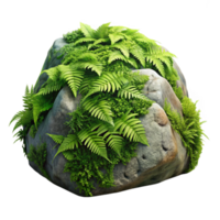 serene contemporary A mossy rock covered in ferns, soft forest light, detailed textures, realistic style, high resolution png