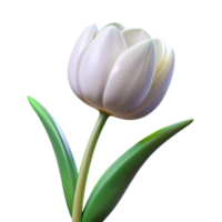 serene contemporary Single white tulip in full bloom authentic png