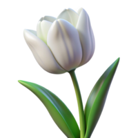 wonderful vintage Single white tulip in full bloom high quality png