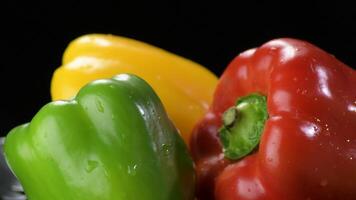 Peppers yellow, red and green vegetables gyrating on black background video