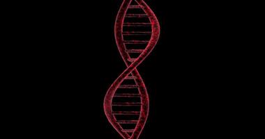 Microscopic view of chain of DNA gyrating on black background. Loop video