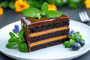 Delicious chocolate cake slice decorated with fresh mint and blueberries photo