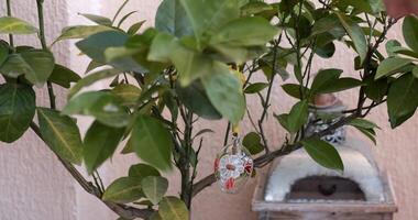 Explore creative ways to decorate an Easter tree with vibrant Easter pysanka and handcrafted decorations. Join in the fun of making festive Easter decor that brings joy and color to your home. video