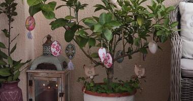 Decorate your space with an enchanting Easter tree adorned with handcrafted decorations. This setup showcases vibrant ornaments and adds charm to your home in celebration of the Easter season. video