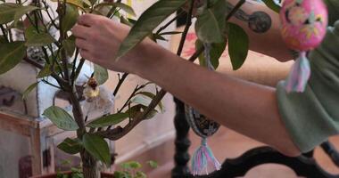 Explore the process of beautifying an Easter tree with vibrant handcrafted decorations. video
