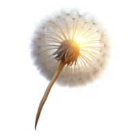 magnificent contemporary A lone dandelion seedhead, delicate and ethereal, illuminated by a backlight, minimalist photography style detailed png